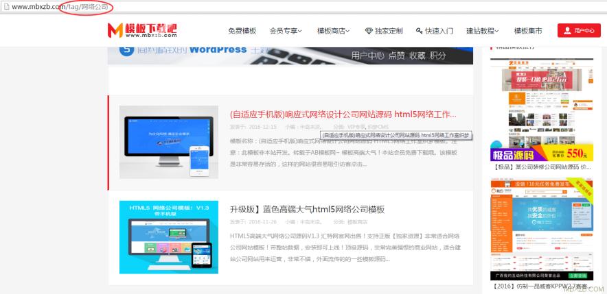 wordpress非插件解决打开中文tag显示404错误问题